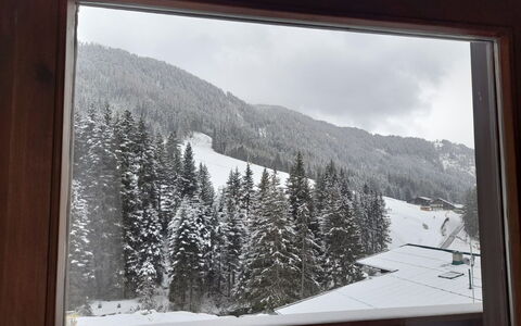 Elisabeth: Ciel, Propriété, Neige, Montagne, La Nature, Noir, Feuille, Branche, Pente, Arbre