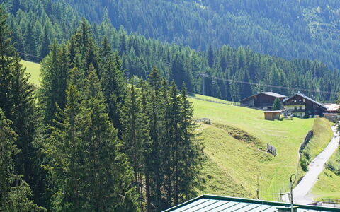 Elisabeth: Écorégion, Montagne, Feuille, Pente, Arbre, Paysage Naturel, Mélèze, Montagnes, Végétation, Lot Terre