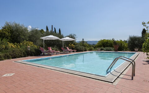 Villa Cevoli: L'Eau, Ciel, Piscine, Plante, Rectangle, Ombre, Arbre, Composite, Loisir, Mobilier De Jardin