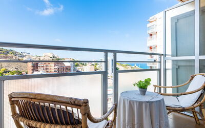 Logement:&nbsp;Duplex Orion Panoramic View 60.3