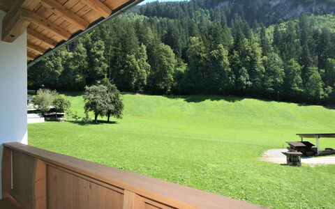 Mayrhofen 350: Plante, Propriété, Ciel, Écorégion, Extérieur Banc, Arbre, Environnement Naturel, Ombre, Bois, Paysage Naturel