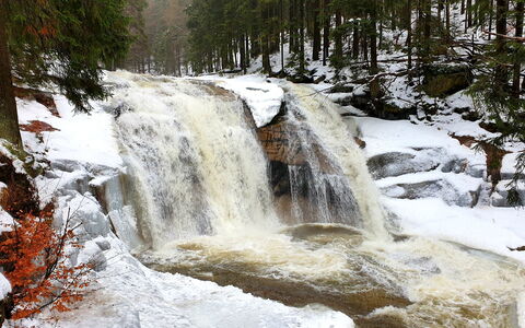 Harrachov 552: L'Eau, Ressources En Eau, Paysage Naturel, Cascade, Cours D'Eau, Arbre, Biome, Neige, Gelé