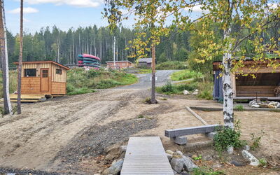 Kolin Kangastus Metsätähti 2