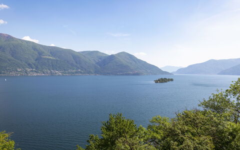 Ronco Sopra Ascona 66: Nuage, L'Eau, Ciel, Montagne, Ressources En Eau, Plante, Arbre, Paysage Naturel, Lac, Montagnes