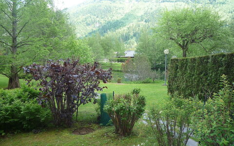 Chamonix - les Praz 100: La Nature, Paysage Naturel, Vert, Végétation, Arbre, Jardin, Herbe, Propriété, Réserve Naturelle, Station De Montagne