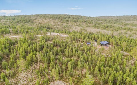 Villa Horihane: Arbre, Environnement Naturel, Forêt, Paysage, Écorégion, Lot Terre, Communauté Des Plantes, Bosquet