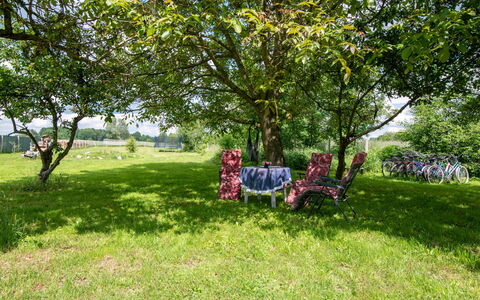 Country House Premium: Plante, Arbre, Paysage Naturel, Suppression Des Plantes Ligneuses, Herbe, Ombre, Des Loisirs, Couverture De Sol, Loisir, Paysage