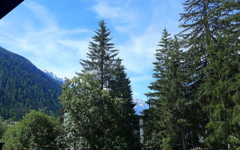 Argentière 200: Arbre, Baume Fir, Shortleaf Pessière Noire, Larix Lyalliisubalpine Mélèze, Conifères Tropicale Et Subtropicale Forêts, Pine Lodgepole, Sucre Pine, Biome, Fir-Forest Epicea, Oregon Pine