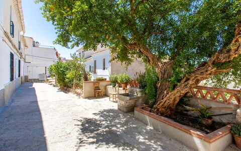 Patio de Las Granadas: Plante, Bâtiment, Fenêtre, Pot De Fleur, Arbre, Surface De La Route, Maison, Ciel, Design Urbain, Sol
