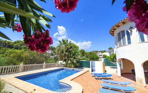 Oronella: Ciel, Plante, L'Eau, Jour, Propriété, Nuage, Piscine, Bleu Azur, Fleur, Bleu