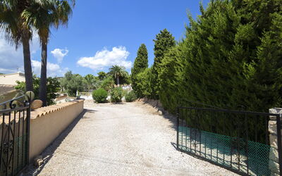 Oronella