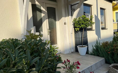 Schillerplatz: Plante, Propriété, Bâtiment, Botanique, Fenêtre, Fleur, Architecture, Pot De Fleur, Mur, Ligne
