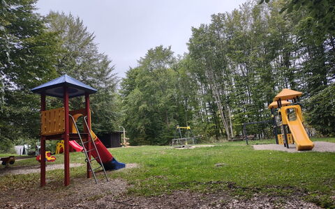 Waldoase: Plante, Ciel, Arbre, Lot Terre, Loisirs De Plein Air, Ombre, Herbe, Loisir, Des Loisirs, Ville