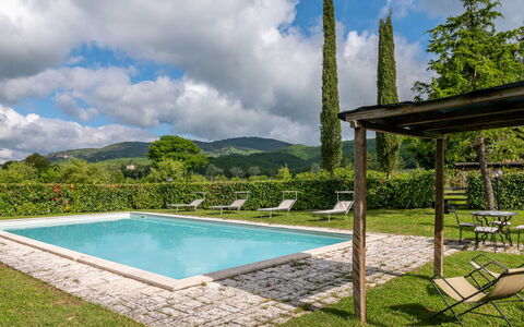 Pepi: Nuage, L'Eau, Ciel, Propriété, Plante, Bleu, Piscine, Ombre, Arbre, Rectangle
