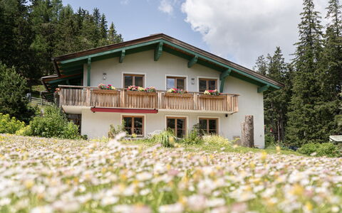 Katschberg 8: Plante, Bâtiment, Ciel, Fenêtre, Arbre, La Nature, Maison, Nuage, Lot Terre, Chalet
