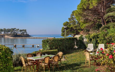Koka: Plante, L'Eau, Ciel, Propriété, Meubles, Table, Paysage Naturel, Arbre, Fleur, Chaise