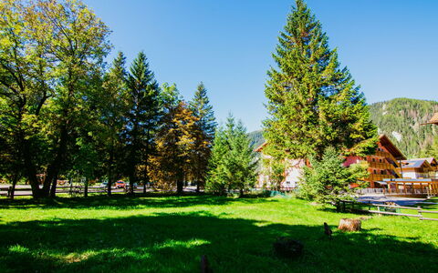 Canazei 440: Plante, Ciel, Paysage Naturel, Mélèze, Arbre, Lot Terre, Végétation, Lumière Du Soleil, Herbe