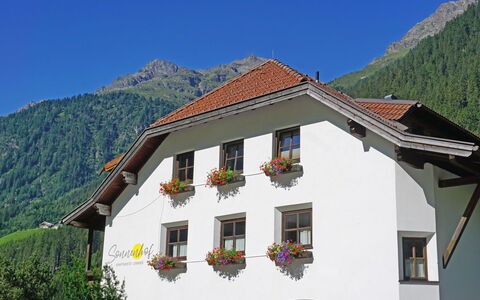 Feichten im Kaunertal 107: Ciel, Fenêtre, Propriété, Bâtiment, Montagne, Plante, Maison, Chalet, Pente, Immobilier