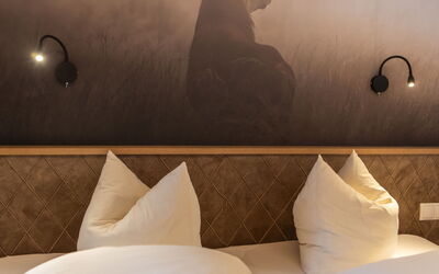 Sonnenhof Top 1 107.1: Meubles, Confort, Lumière, Lampe, Design Intérieur, Oreiller, Bois, Mur, Salon, Teintes Et Ombres