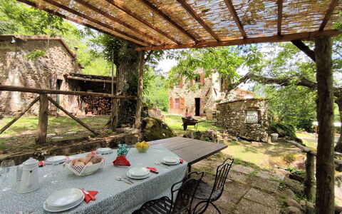 Turi: Plante, Table, Propriété, Botanique, Bâtiment, Tableau De Plein Air, Mobilier De Jardin, Bois, Pot De Fleur, Arbre