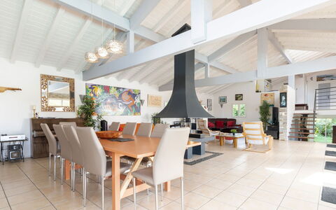 Villa Suerte: Meubles, Table, Chaise, Plante D'Appartement, Sol, Plante, Sol, Bois, Pot De Fleur, Salon