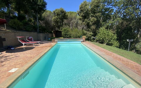 Villa le Querce: L'Eau, Ciel, Plante, La Nature, Piscine, Ombre, Arbre, Rectangle, Bois, Sol