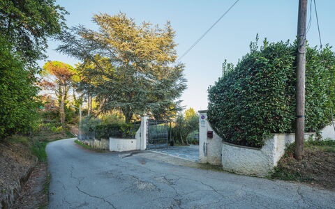 Villa Mistral: Bois, Éclairage, Design Intérieur, Sol, Sol, Salon, Immobilier, Dur, Table, Faisceau