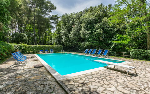 Saletto: L'Eau, Plante, Ciel, Piscine, Nuage, Arbre, Ombre, Rectangle, Mobilier De Jardin, Herbe
