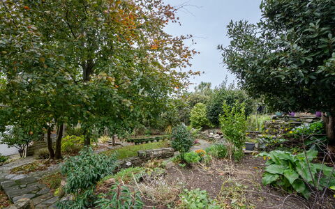 Cherry Orchard Cottage: Ciel, L'Eau, Nuage, Plage, Parapluie, Mobilier De Jardin, Ombre, Cotiers Et Relief Océaniques