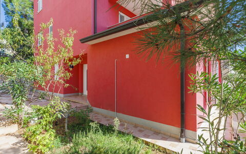Flores: Plante, Propriété, Bâtiment, Feuille, Botanique, Végétation, Lot Terre, Fenêtre, Mur