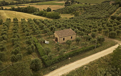 Montauto