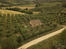 Montauto