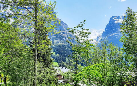 Chalet zur Höhe: Montagnes Relief, Arbre, Vert, La Nature, Montagne, Végétation, Chaîne De Montagnes, Montagnes, Colline, Station De Montagne