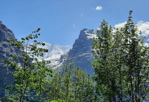 Chalet zur Höhe: Ciel, Nuage, Plante, Montagne, Branche, Mélèze, Pente, Paysage Naturel, À Feuilles Persistantes, Suppression Des Plantes Ligneuses