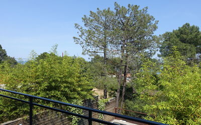 Solenzara 646