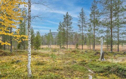 Puukenkä: Bois, Chalet, Cabane En Rondins, Forêt, Cabanon, Batiments Jardin, Mélèze, Des Bois, Tache De Bois