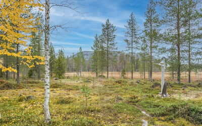 Puukenkä