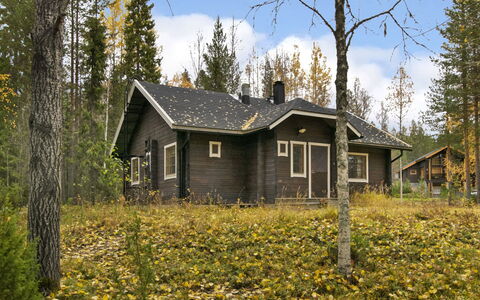 Ummelo: Chalet, Maison, Domicile, Batiments Jardin, Siding, Cabane En Rondins, Ferme, Biens, Cabanon, Cour