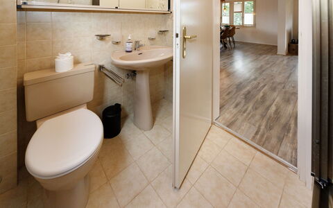 Chalet Dori: Sol, Luminaire Plomberie, Lavabo, Mur, Sol, Design Intérieur, Bois, Salle De Bains, Évier, Toilette
