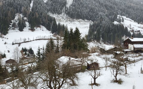 Stark: Neige, Montagne, Plante, Paysage Naturel, Arbre, Pente, Mélèze, Biome, Atmospherique Phénomène, À Feuilles Persistantes