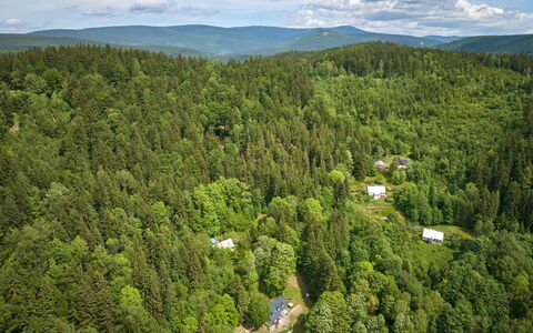 Sunny Slope & Sauna: Arbre, Environnement Naturel, La Nature, Feuille, Végétation, Forêt, Paysage, Écorégion, Communauté Des Plantes, Lot Terre
