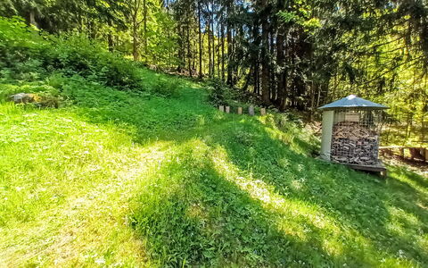 Sunny Slope & Sauna: Plante, Arbre, Paysage Naturel, Herbe, Couverture De Sol, Ombre, Paysage, Arbuste, Prairie, Terrestre Des Plantes