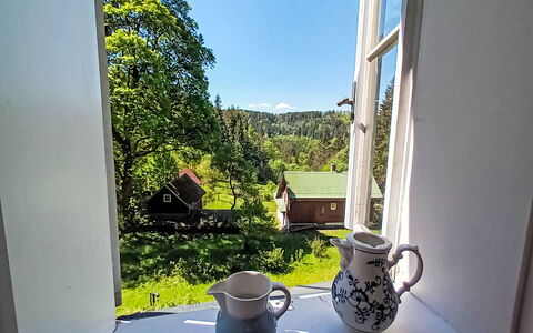 Sunny Slope & Sauna: Vaisselle, Fenêtre, Drinkware, Vaisselle, Ciel, Table, Coupe, Bâtiment, Plante, Serveware