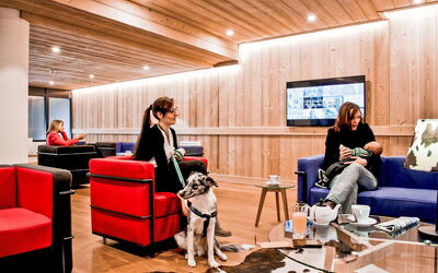 Logement:&nbsp;Odalys Collection les Fermes de Chatel 800.3