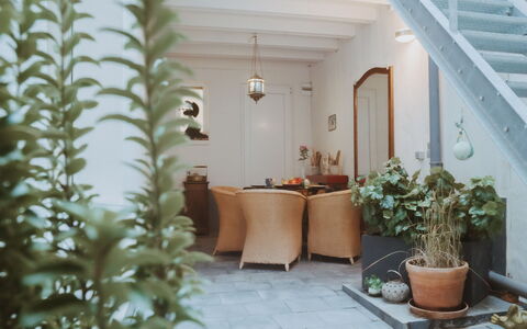 Historical and Spacious Villa Anaïs: Plante, Bâtiment, Pot De Fleur, Plante D'Appartement, Design Intérieur, Sol, Mur, Bois, Immobilier, Terrestre Des Plantes