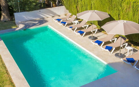 Villa Scott: L'Eau, Bâtiment, Ciel, Propriété, Piscine, Fenêtre, Bleu Azur, Plante, Design Intérieur, Condominium