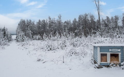 Kivilahti Vuokatti: Bois, Chalet, Domicile, Cabane En Rondins, Lumber, Siding, Dur, Matériau Naturel, Batiments Jardin, Cabane