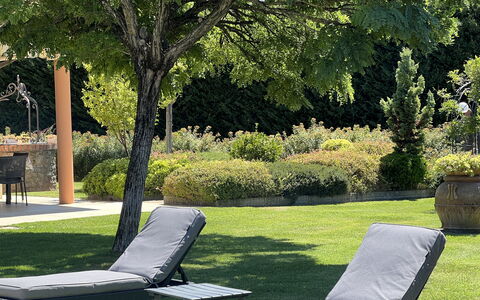 Villino Setteponti: Plante, Lumière, Feuille, Botanique, Arbre, Ombre, Herbe, Mobilier De Jardin, Extérieur Banc, Loisir