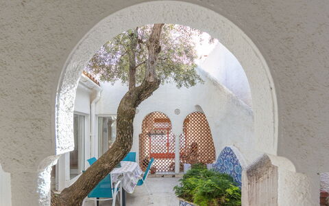 Los Abuelos: Plante, Bâtiment, Arbre, Maison, Suppression Des Plantes Ligneuses, Art, Ombre, Façade, Paysage, Cambre