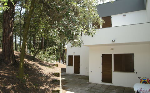 Rosolina Mare 623: Cabinetry, Evier, Comptoir, Propriété, Robinet, Évier, Fenêtre, Luminaire Plomberie, Bois, Cuisine